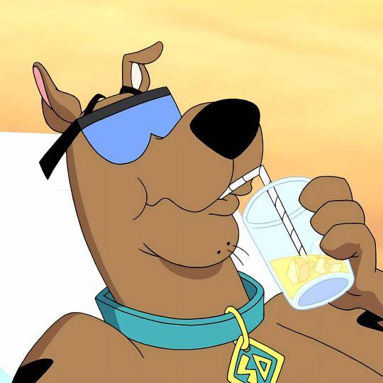 白日梦-小丘喜欢