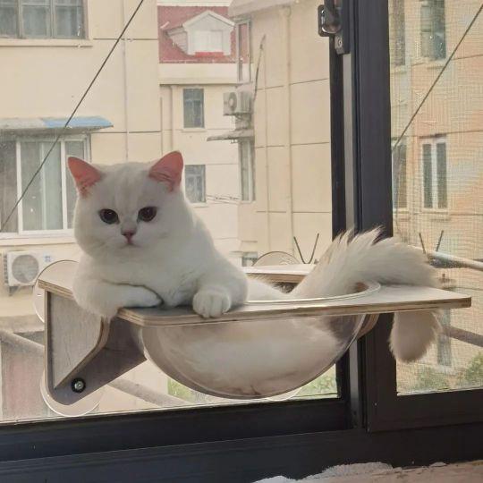 白日梦做多了不好