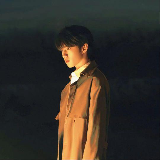 百事通小青年LJT（提问者）