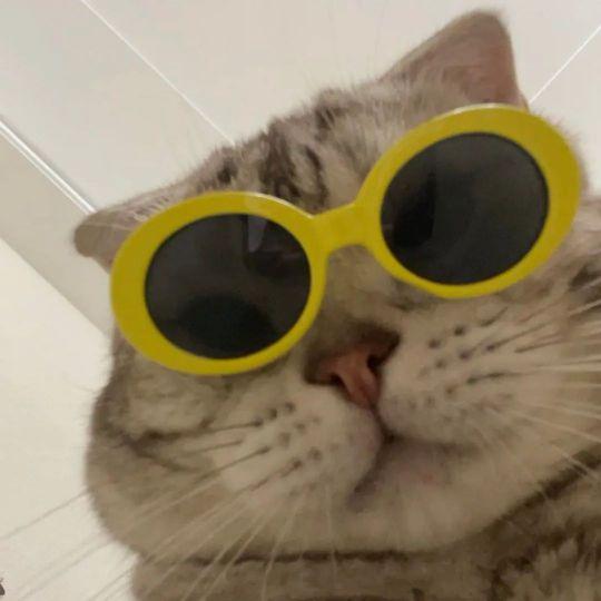 白袜腹肌体育生